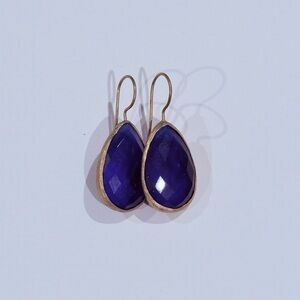 Elegant Blue Gem Teardrop Earrings